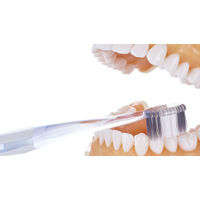 【アウトレット】DENTALPRO（デンタルプロ） ハブラシ BLACKWITH FEEL FRESH ふつう 歯ブラシ