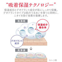 hadakara（ハダカラ） 薬用デオドラント ボディソープ ハーバルソープの香り 本体 550ml ライオン【泡タイプ】