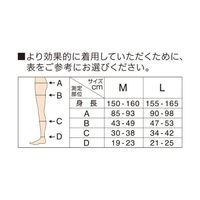 寝ながらメディキュット 着圧スパッツ M ラベンダー 加圧 スリム 美脚効果 Dr.Scholl（ドクターショール）