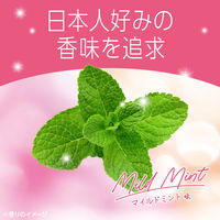 マウスウォッシュ 洗口液 口臭 モンダミン マイルドミント 1000mL×2本 微刺激タイプ アース製薬