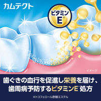 カムテクト ハミガキ プレミアム ホワイトニング 95g Haleonジャパン 歯磨き粉