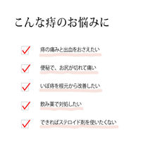 摩耶字散 10包 摩耶堂製薬　生薬製剤 飲み薬 痔の痛み・出血 いぼ痔 切れ痔【第2類医薬品】