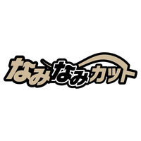 パスタイムLXプレミアム 14枚 祐徳薬品工業 ロキソプロフェン テープ剤 腰痛 肩の痛み 関節痛 筋肉痛【第2類医薬品】