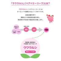 ハルンケア ベアベリー錠 48錠 大鵬薬品 残尿感の改善・排尿時の不快感【第2類医薬品】