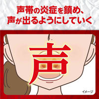 コエキュア 6包 小林製薬【第2類医薬品】