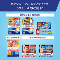 メンソレータム メディクイックE 30ml ロート製薬 耳などのかゆみをすばやく抑える【指定第2類医薬品】