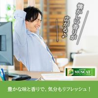 マスカットガム 15個 ロッテ ガム