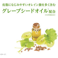 ダヴ（Dove） ボタニカルセレクション ポアビューティー 洗顔フォーム  泡タイプ つめかえ用 135mL 2個　ユニリーバ