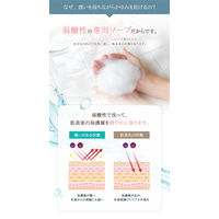 PHジャパン 薬用デリケートゾーンソープ FEMILEAN 170ml JRSコーポレーション