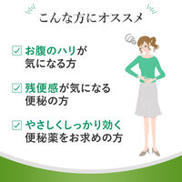 スルーラックファイバー 10包 エスエス製薬 便秘薬 便秘 肌あれ SSPLSC【指定第2類医薬品】