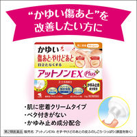 アットノンEXかゆみ止めプラス 10g 小林製薬【第2類医薬品】
