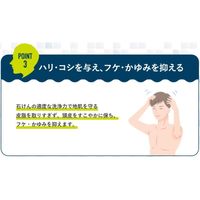 シャボン玉石けん メンズシャボン ソープシャンプー 詰め替え用 420ml