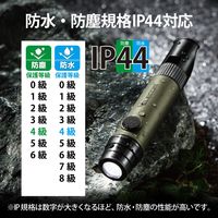 懐中電灯 LEDライト ランタン 災害救助笛 小型 電池式 防水・防塵 IP44 オリーブ DE-KD03OV エレコム 1個