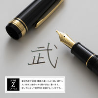 セーラー万年筆 プロフィットスタンダード万年筆 ブラック Z(ズーム) 101619720 1本