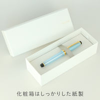 セーラー万年筆 四季織 雪月空葉 春空 万年筆 MF(中細字) 101624301 1本