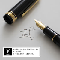 セーラー万年筆 プロフィットスタンダード万年筆 ブラック F(細字) 101619220 1本