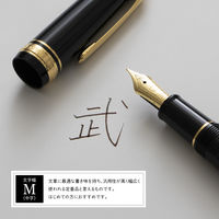 セーラー万年筆 プロフィットスタンダード万年筆 ブラック M(中字) 101619420 1本