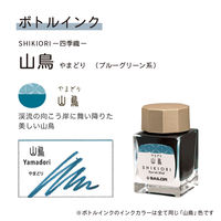 セーラー万年筆 プロフィットJr 万年筆ボトルインクセット アクアグリーン 100440060 1セット