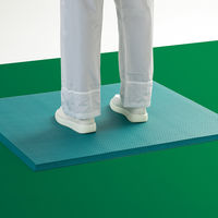 テラモト 制電クッションマット　４５０×７５０mm MR9396450 1枚（直送品）