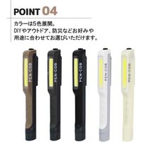 長輝LITETEC LEDペンライトグレイブルー PC-06 1個