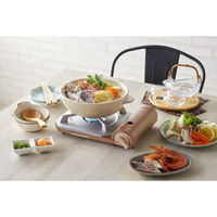 イワタニ カセットコンロ カセットフー 達人スリムプラス CB-TS-PLS 1台 岩谷産業（わけあり品）