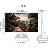 JAPANNEXT 23.8インチ 液晶モニター JN-238I75F-W 1台