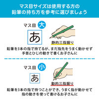 日本ノート 学習帳 スクールライン+ セミB5 配慮マス目 大（書字練習用）50mm LGG01 1冊