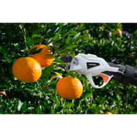 アイリスオーヤマ 充電式高枝剪定ハサミ JTH10 1台