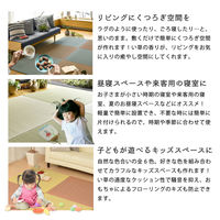 【玄関渡し】 萩原 すき間のできにくい小型置き畳　四季　同色12枚組 ブラウン 65×65×1.5cm（直送品）