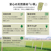 【玄関渡し】 萩原 い草カーペット　柳川（やながわ）　江戸間10畳  440×352cm（直送品）