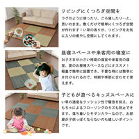 【玄関渡し】 萩原 すき間のできにくい小型置き畳　王騎　同色12枚組 ブルー 65×65×2.5cm（直送品）