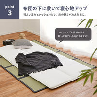 【玄関渡し】 萩原 折り畳める　水拭きできる畳マットレス　伏見　シングル  100×200cm（直送品）