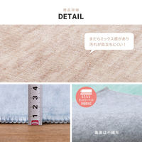 【玄関渡し】 萩原 パステルカラーの日本製抗菌カーペット　ファーレ　 江戸間 4.5畳  グリーン 261×261cm（直送品）