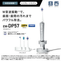 パナソニック 音波振動ハブラシ ドルツ EW-DP57-S 1台