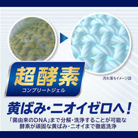 ナノックス ワン（NANOX one）PRO プロ 本体 大サイズ 600g 1個 洗濯 洗剤 ライオン（イチオシ）