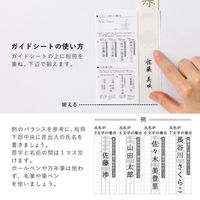 いろは出版 ご祝儀袋 寿草花 白桜 GJK-05 1パック