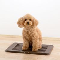 お掃除簡単フラットトレー 犬用 レギュラー ダークブラウン 1個 リッチェル