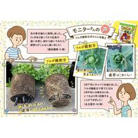 花ごころ フルボ酸配合花ちゃん培養土ab 5L 4977445093101 1袋