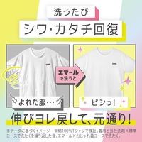 エマール アロマティックブーケの香り 詰め替え 810g 1セット（1個×3） 衣料用洗剤 花王