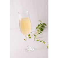 内堀醸造 フルーツビネガー白ぶどうの酢 360ml 1本