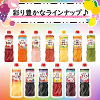 ミツカン 業務用 フルーティス まろやかりんご酢ドリンク 1000ml 1本 ６倍濃縮　大容量　飲むお酢　リンゴ酢