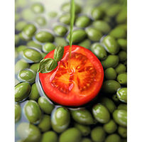 日清オイリオ ボスコ エキストラバージンオリーブオイル 456g 1本