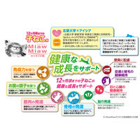 ミャウミャウ カリカリ小粒 子ねこ用 国産 580g 3袋 アイシア キャットフード 猫 ドライ