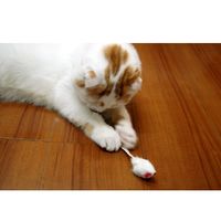 キャティーマン じゃれ猫 ベビーマウス 5個入り 猫用 おもちゃ ねずみ