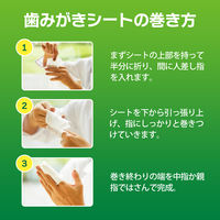 歯みがきシート ペットキッス（PETKISS）犬猫用 アップルの香り 国産 30枚入り 10袋 ライオンペット