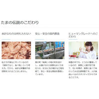 食通たまの伝説 やさしさプラスパウチ まぐろサーモン 国産 50g 6袋 三洋食品 キャットフード 猫 ウェット パウチ