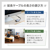 OWLTECH Type-Cケーブルを手軽に延長できるタイプC タイプC延長ケーブル 1m OWL-CBCMCF10-BK 1個