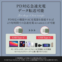 オウルテック シリコン素材のUSB Type-C Type-Cケーブル ワインレッド 1m OWL-CBSCC10-WR 1個