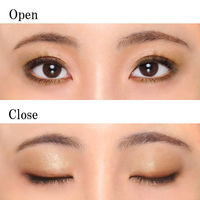 ちふれ化粧品 ツインカラーアイシャドウ 05 ゴールド系 アイカラー アイシャドー