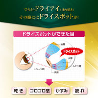 Vロートドライアイプレミアム 15ml ロート製薬 目薬 乾き目 ドライアイ 目の疲れ（疲れ目）【第3類医薬品】